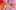 Matt Forde 1600 x 1000